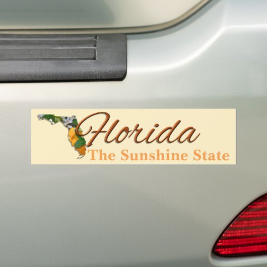 Autoaufkleber - FLORIDA (Auf Auto)