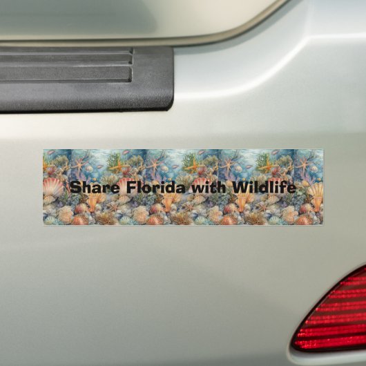 Autoaufkleber Florida mit Muscheln über wild leben (Auf Auto)