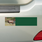 Autoaufkleber für Elche (Auf Auto)