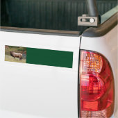 Autoaufkleber für Elche (Auf Lkw)