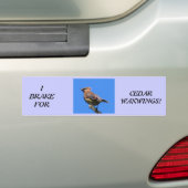 Autoaufkleber für Vogel-Liebhaber! (Auf Auto)