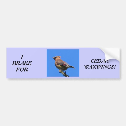 Autoaufkleber für Vogel-Liebhaber! (Vorne)