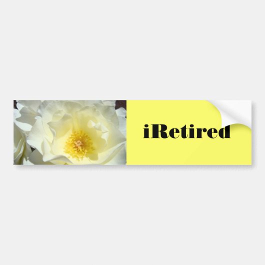 Autoaufkleber Gelbe Rose Blume (Vorne)