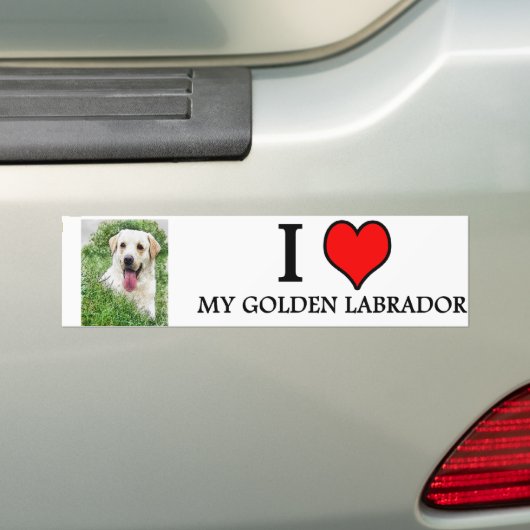 Autoaufkleber GOLDENES LABRADOR (Auf Auto)