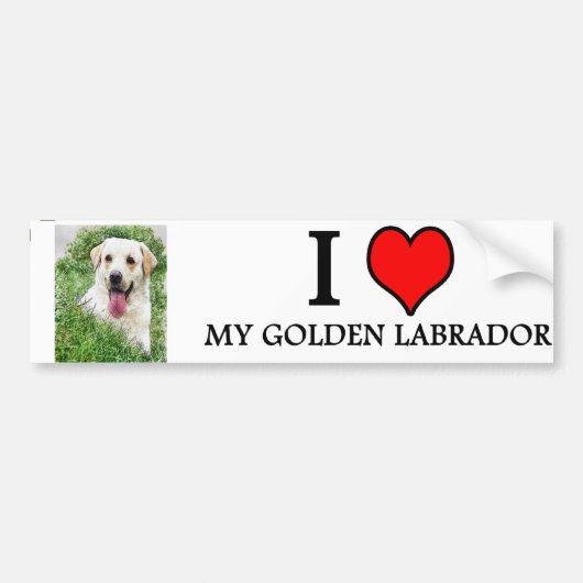 Autoaufkleber GOLDENES LABRADOR (Vorne)