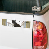 Autoaufkleber, Kaliko-Katze Autoaufkleber (Auf Lkw)