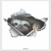 Autoaufkleber Koala Auto Aufkleber Tiere Koala (Blatt)