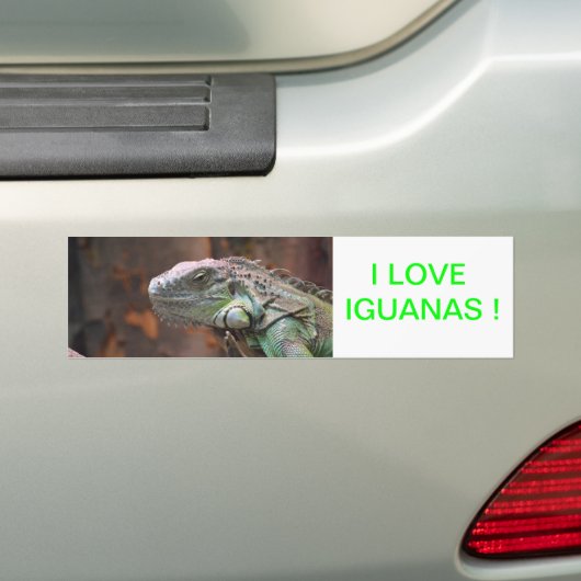 Autoaufkleber mit farbiger Iguana-Eidechse (Auf Auto)