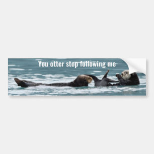 Autoaufkleber von Ottern
