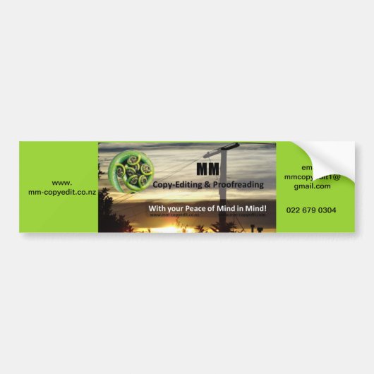 Autoaufklebergeschäft Autoaufkleber (Vorne)