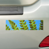Autoaufklebers Blue Sky Green Forest Ferns Autoaufkleber (Auf Auto)