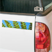 Autoaufklebers Blue Sky Green Forest Ferns Autoaufkleber (Auf Lkw)