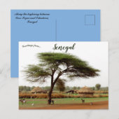 Autobahn zwischen Ouro Sogui und Orkadiéré Senegal Postkarte (Vorne/Hinten)