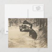 Autobären Postkarte (Vorne/Hinten)