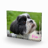 Autografisches Foto des Fotos (Rechts)