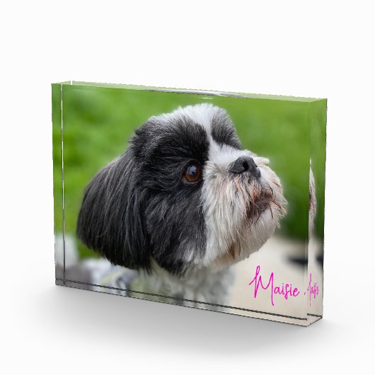 Autografisches Foto des Fotos (Rechts)