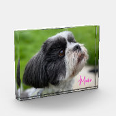 Autografisches Foto des Fotos (Links)