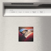 Autohaubenmagnet Magnet (In Situ (Geschirrspüler))