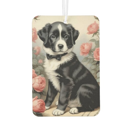 Autoluftkühler Autolufterfrischer (Rückseite)