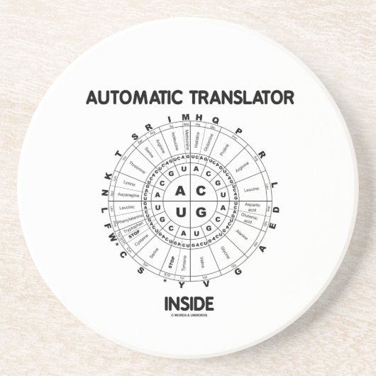 Automatisches Übersetzer-Innere (RNS Codon-Rad) Sandstein Untersetzer (Vorne)