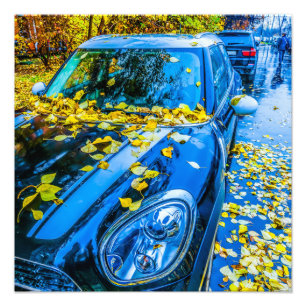 Automobil, Auto - Saison gefallener Blätter Fotodruck
