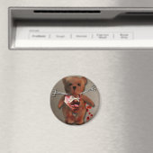 Autopsie von T. Bear Magnet (In Situ (Geschirrspüler))