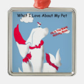 Autor Weihnachtsbuch Ornamente (Vorne)