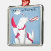 Autor Weihnachtsbuch Ornamente (Links)