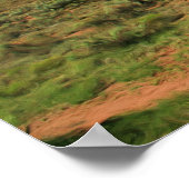 Autos in Wüstenmalerei Poster (Ecke)