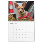 Autos und Paare Kalender (Jan 2027)