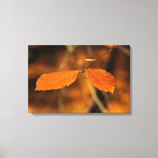 Autoszene Leinwanddruck (Vorderseite)