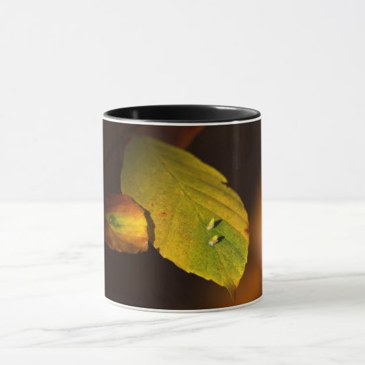 Autoszene Tasse (Zentrum)