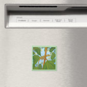Autsch! Gecko-Malerei Magnet (In Situ (Geschirrspüler))