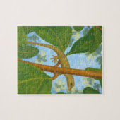 Autsch! Gecko-Malerei Puzzle (Horizontal)