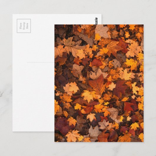 Autum-Blätter Postkarte (Vorne/Hinten)