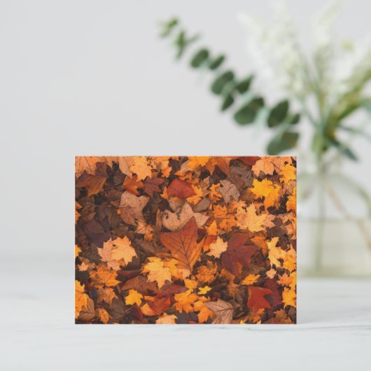 Autum-Blätter Postkarte (Stehend Vorderseite)