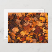 Autum-Blätter Postkarte (Vorne/Hinten)
