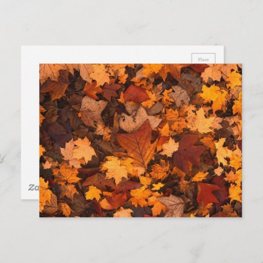 Autum-Blätter Postkarte (Vorne/Hinten)