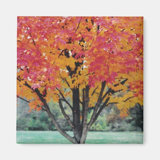 Autum Magnet (Vorne)