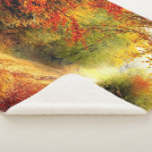 AUTUM PATH IN DEN WOODS SHERPADECKE (3/4)