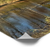 Autum Reflections on Creek Poster (Ecke)