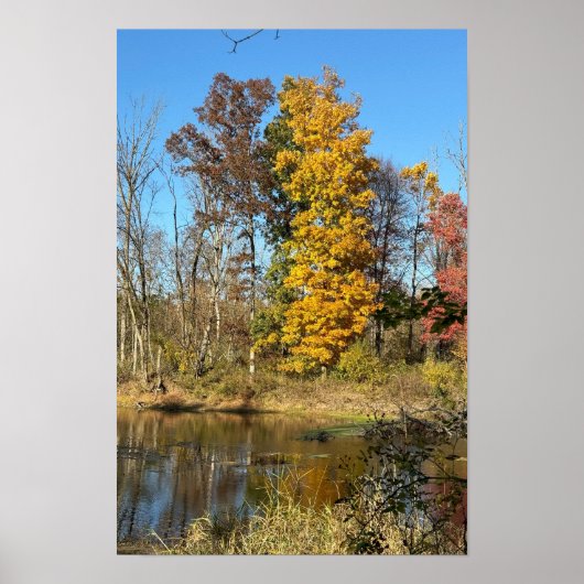 Autum Reflections on Creek Poster (Vorne)
