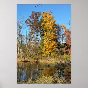 Autum Reflections on Creek Poster