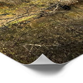 Autum Reflections on Creek Poster (Ecke)