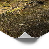 Autum Reflections on Creek Poster (Ecke)