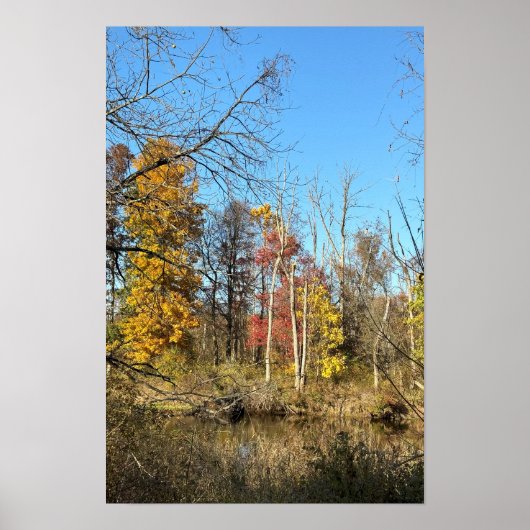 Autum Reflections on Creek Poster (Vorne)