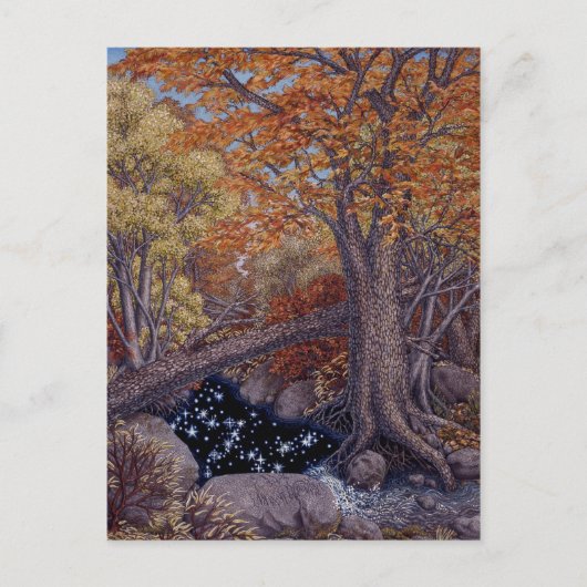 Autum Spring Postkarte (Vorderseite)