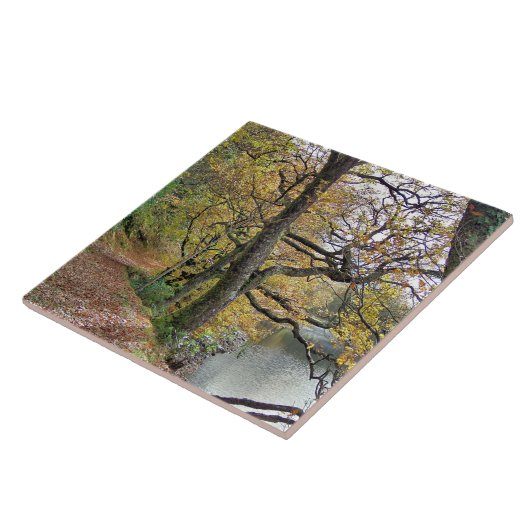 AUTUMMER AM SEE FLIESE (Seite)