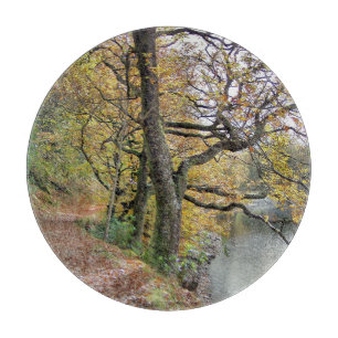 AUTUMMER AM SEE SCHNEIDEBRETT