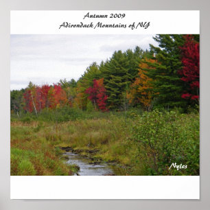 Autumn 2009 Adirondack Mountain... Poster